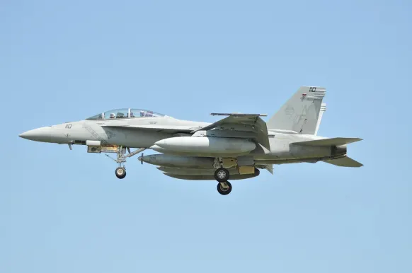 קזינו רד צ'רי תמיכה